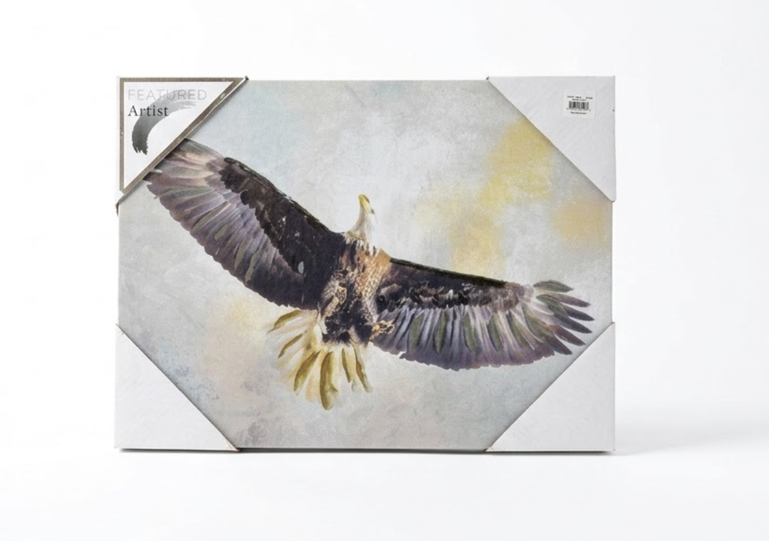 Canvas Wall Art Frame Bald Eagle Flying Wall Decor Pictures Wall Decorations Art Home Decor Wall Display for Living Room Bedroom Bathroom
 24"×18"