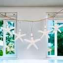 Resin Starfish Seashells Starfish Decor Sea Shells for Crafting Starfish Pendant for DIY Wedding Decoration,Beach Shells Vase Filling,Fish Tank Sea Shell Decor Shell Wall Decor(26, White)