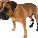 Toe'sUP WAlkaboot No Knuckle Boot/ Prevent dragging Paws Ideal for Pets with Neurological Disorders Causing Front paw knuckling and dragging. (Small 1.5-2" paw Width)