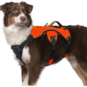 rabbitgoo Escape Proof Dog Harness, Soft Padded Full Body Pet Harness, Reflective Adjustable No Pull Vest with Lift Handle and Leash Clip for Large Dogs Walking Hiking Training, M, Orange (Medium (Pack of 1))