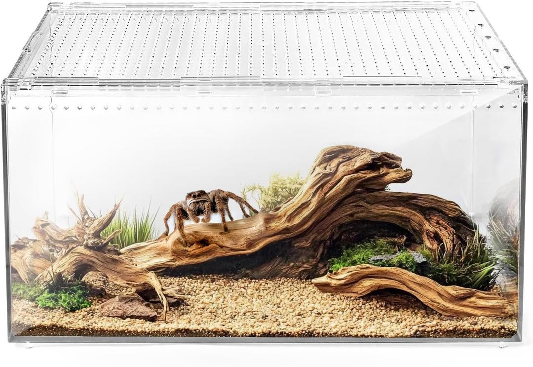 AZV Reptile Terrarium Tank,Versatile Enclosure for Leopard Crested Gecko,Lizard Cage,Spider Starter Kit,Hermit Crab Habitat,Tarantula Cribs,Perfect Aquarium for Snake,Frogs,Snails,Insects,Small Pets (Large(11.81*7.87*5.90inch))