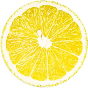 Excervent Realistic Fruit Lemon Blanket, 290 GSM Funny Realistic Food Blanket, Novelty Super Soft Yellow Flannel Throw Blankets, 60 inch