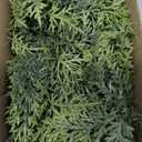 Waydress 1 Pcs 9 Ft Christmas Cedar Garland Artificial Realistic Soft and Thickness Green Faux Cedar Pine Garland for Home Fireplace Indoor Outdoor Holiday Party Decoration