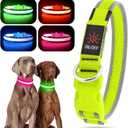 YFbrite Light up Dog Collar, USB Rechargeable LED Puppy Collar Super Bright Adjustable Glowing Dog Lights for Night Walking (Green, Large)
