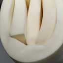 FOAMYFOAM High Density 6 inch Thick, 24 inch Wide, 24 inch Long Upholstery Foam, Cushion Replacement (6" x 24" x 24" (1 Pack))