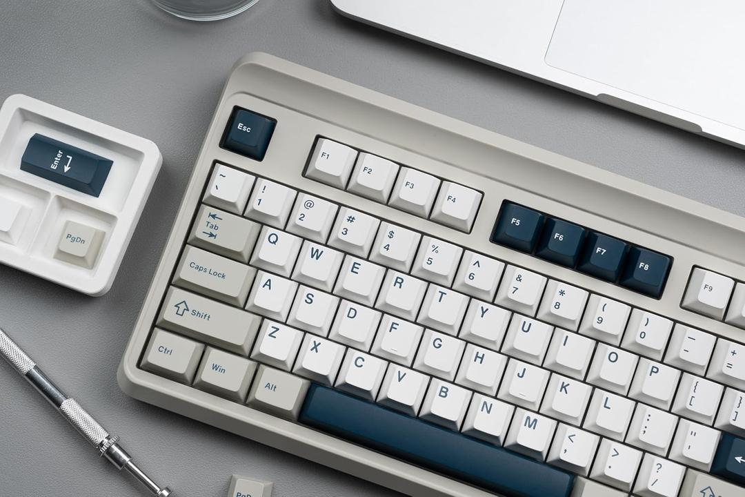 PBT Keycaps Set, Doubleshot 137 Key Caps,Cherry Profile Custom Keycap for 61/64/68/84/87/100/104/108 Mechanical Keyboard, Compatiability for 60 65 75 100 Percent Keyboads (White Grey Blue)