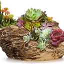 Noamus Artificial Driftwood Planter, Sculpture Resin Succulent Flower Pot, Imitation Wood Pile Porous Bonsai Tree Plant Pot, Decorative Rustic Stump Cactus Container for Garden Indoor