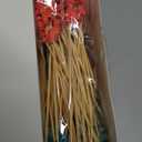 Domensi 300 Pcs Dinosaur Cocktail Picks 4.7 Dinosaur Food Skewers Fancy Toothpicks Dino Appetizers Bamboo Fruit Stick for Sandwich Cupcake Charcuterie Skewers for Birthday Wedding Party Supplies