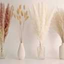65PCS Pampas Grass Decor, Including Pompas Floral, Reed Dried Grass and Bunny Tails Dried Flowers, Natural Dried Pampas Grass Bouquet for Boho Decor Wedding, Home Decoration