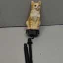 Cat Solar Light Ornaments Garden Decor Outdoor Lawn Decorations Cute Animal Stake Patio Yard Statue Waterproof Tabby Gifts for Lovers (Kitty Figure)