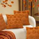 Pumpkin Fall Decorative Throw Pillow Covers 18"x18", Set of 2 Orange Soft Faux Fur Pillow Covers for Autumn Harvest, Fluffy Plush Accent Pillow Cases for Farmhouse Couch Cushion Covers