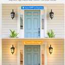 VIANIS Black 2-Pack Outdoor Porch Lights, Dusk to Dawn Outdoor Lighting, Down 2-Pack