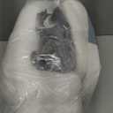 Organic Cotton Baby Lounger  Reversible, Portable, Soft & Breathable with Washable Cover | Perfect for Awake-Time Use Only - Little Leaves