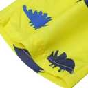 LIZENS Boys Swim Trunks UPF 50+ Quick Dry Beach Bathing Suit Toddler Swimsuit Swimwear