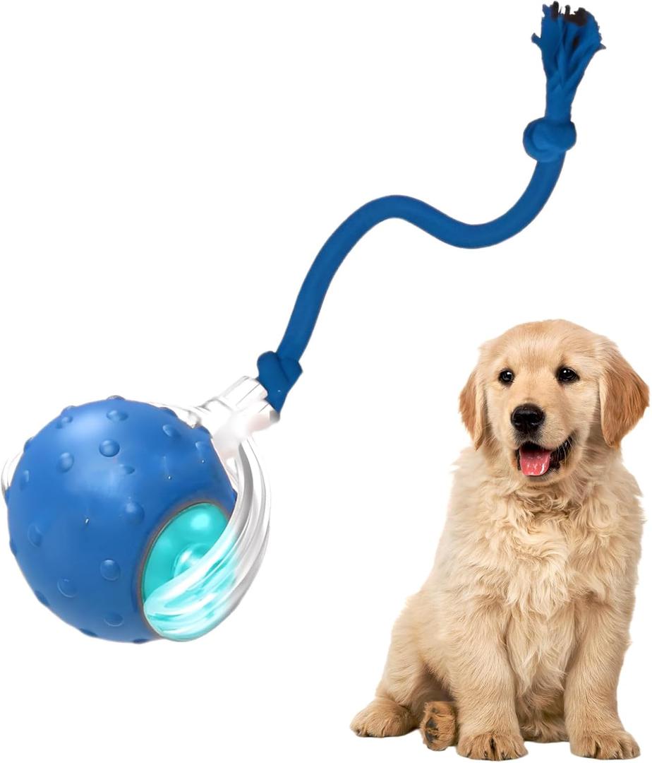 Tiny Fetch Dog Toy - Interactive Dog Toys, 360 Smart Automatic Rolling Electric Dogs Ball Toy with Birdsong, Automatic Obstacle Avoidance, Rechargeable, Boredom Relief for Dogs & Cats (Blue*1 PC)