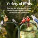 Blue Seal Nut Feast Suet Cakes for Wild Birds | No Mess Suet Feed with Variety of Nuts | Food for Woodpeckers, Cardinals, Siskins & Sparrows | Use with Suet Feeder | 11oz Seed Cake (6 Variety Pack) (EXP 06/06/27)