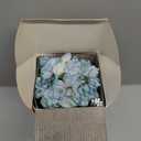 COCORRNA Reed Diffuser - 8.5 Oz Cashmere Vanilla Reed Diffuser with 8 Sticks for Home Bathroom Shelf Decor (Simple Luxe Collection)