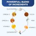 Hip & Joint Supplement for Dogs - Advanced Glucosamine MSM Chondroitin with Turmeric - 10-in-1 Veterinarian Formulated Joint Pain Relief for Large Breed Senior Dogs - 60 Tablets