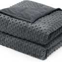 Wemore Minky Dot Weighted Blanket for Adults Queen Size 15 lb, Soft Heavy Blanket for Stress Relief and Sleep Promotion, Breathable Blanket for All-Season with Glass Beads, Dark Grey 60 x 80 inches