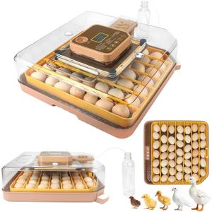 Nest IV - 48 Egg Incubator for Breeders, Fully Automated, Accurate Humidity & Temp Control, Chick Separator, Flexible Egg Spacing, Custom Incubation Days, Auto Turning & Auto Stop, Easy Monitoring