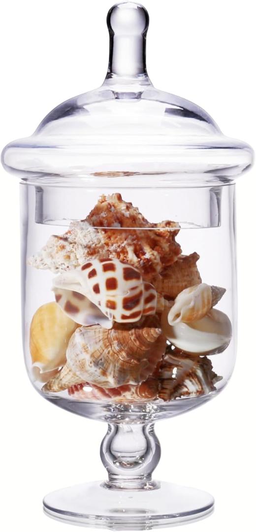 Small Glass Apothecary Jars with Lid, Clear Candy Jar with Lid, Cute Small Decorative Glass Jars for Wedding, Display and Home Decor, Glass Canisters (Height: 9", Diameter: 5") (22 Ounces)