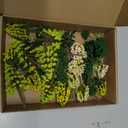 Jiebor 55pcs Miniature Model Trees Artificial Fake Trees Diorama Materials Supplies for Train Landscape Scenery Building Fairy Garden Accessories Kit Architecture DIY Crafts
