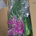 Grunyia 24 Bundles Artificial Flowers for Outdoor Decoration UV Resistant Fake Plastic Plants Faux Boston Fern Artificial Greenery for Summer Indoor Outdoor Garden Patio Window Box Kitchen Home Decor