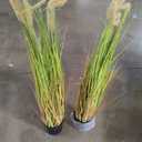 KOL Artificial 5ft 2-Pack Horsetail Reed Grass, 59in Tall Artificial Indoor Outdoor Fake Grass Plant, Home Office Dcor Artificial Plants in Pot Faux Plant Greenery, Wedding Decor - Yellow