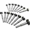 Meichoon Forstner Drill Bit Set 15-35mm 16 Pcs, Carbide Forstner Bits High Speed Steel Wood Tool Punching Bit Wood Slabs Flat Wing Drilling Hole Hinge Cemented Carbide Drilling Counterbore DC01