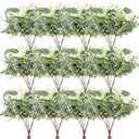 120 PCS Artificial Eucalyptus Stems Bulk Faux Silver Dollar Leaves for Vase Bouquets Baby Eucalyptus Leaves for Family Wedding Center Flower Arrangement