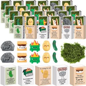 Cinnvoice 100 Set Funny Gifts Bulk for Mother's Day Teacher Appreciation Week Nurse Employee Coworker Volunteer Thank You Gifts Desk Pets Cute Ornaments Positive Inspirational Card Box (Pickle)