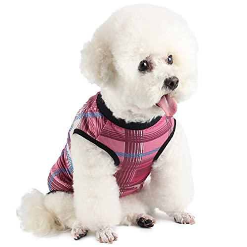 Etdane Dog Recovery Suit for Female Male Dog Onesie for Surgery Dog Surgical Suit After Spayed Dog Neuter Body Suits Fit Small Medium Dog with Pee Hole Pink Plaid/Medium Etdane Dog Recovery Suit for Female Male Dog Onesie for Surgery Dog Surgical Suit After Spayed Dog Neuter Body Suits Fit Small Medium Dog with Pee Hole Pink Plaid/Medium
