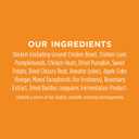 Instinct Raw Boost Mixers Gut Health Freeze-Dried Dog Food Topper, 5.5 oz. Bag (5.5 Ounce (Pack of 1))