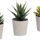Artificial Succulents Set of 3 Mini Realistic Fake Plants with Plastic Pots for Home and Office Decoration, Including Aloe, Echeveria laui and Haworthia coarctata f. greenii, 4in (H) x 3.5in (W)