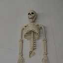 Halloween Skeleton Decorations, 20" Full Body Plastic Mini Little Skeleton Posable Joints Poseable Skeleton for Skeleton Halloween Party Hanging Decoration Yard Lawn Garden Patio Decor