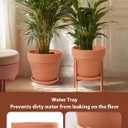 INGOFIN Terracotta Pot Set of 2 with Saucer - 10 Inch Ceramic Clay Pot for Plants with Drainage Hole, Large Terra Cotta Flower Planter with Tray for Indoor Outdoor Plants