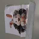 Easter Bunny Wall Decal - Removable Self-Adhesive Driving Rabbit Sticker, 30 * 40 cm Fun Easter Egg Home Decor for Living Room, Bedroom, Kitchen, Party