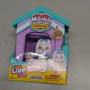 Little Live Pets Dog House Playset Bundle, Mama Surprise Families Beagle and Maltese Collection, Interactive Fold-Out Dog Playset Toy Gift for Kids 5+