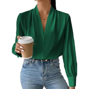 EVALESS Work Blouses for Women Long Sleeve Blouses Business Spring Top Womens V Neck Office Shirts (Medium)