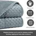 Alomidds Weighted Blanket (60"x80",15lbs Queen Size - Grey), Weighted Blankets for Adults and Kids, Cooling Breathable Soft and Comfort Minky, Heavy Blanket Microfiber Material with Glass Beads