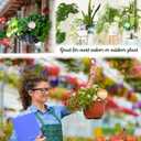 9 Pcs Plant Watering Globes 135 cm, Colored Self Watering Globes Automatic Watering Bulbs Plastic Plant Water Globes Drip Irrigation Device for Indoor Outdoor Plants