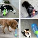 Wine Bottle Dog Toy, Fun Interactive Cute Squeaky Dog Toys with Tennis Ball Inside, Ideal for Large/Medium/Small Dogs to Fetch Games and Bonding Time,Medium-Green (2.17" x 2.17" x 7.87")