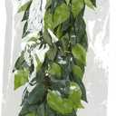 Exo Terra Silk Terrarium Plant, Large, Ficus