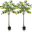 Jexine 2 Pack Artificial Lemon Tree 5 ft Tall Fake Plant Pre Potted Faux Lemon Tree Realistic Fruits for Indoor Home Decor Office Living Room