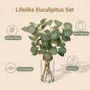 Briful Artificial Eucalyptus Stems in Glass Vase with Faux Water, 14" Fake Plant Eucalyptus Leaves for Home Bathroom Office Farmhouse Wedding Centerpiece Dcor (Clear)