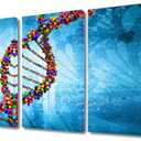 Modern Chemistry Canvas Wall Art for Doctor Living Room Office Wall Decor Spherical Spiral DNA Poster Prints for Medical Researchers Studio Wall Artwork Printng Stretched Ready to Hang 36x24 in