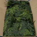 SHareconn 9FT Christmas Cedar Garland Decoration, Artificial Realistic Faux Cypress Greenery Garland for Winter Mantle Table Stairs Railing Fireplace Holiday Indoor Outdoor Decor, 9 FT