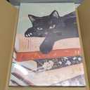 Framed Black Cat Canvas Wall Art, Funny Cat lying on a pile of books Painting, Abstract Animal Posters Prints Wall Decor for Living Room Bathroom Gallery Dining Room Decor 16x24 inch