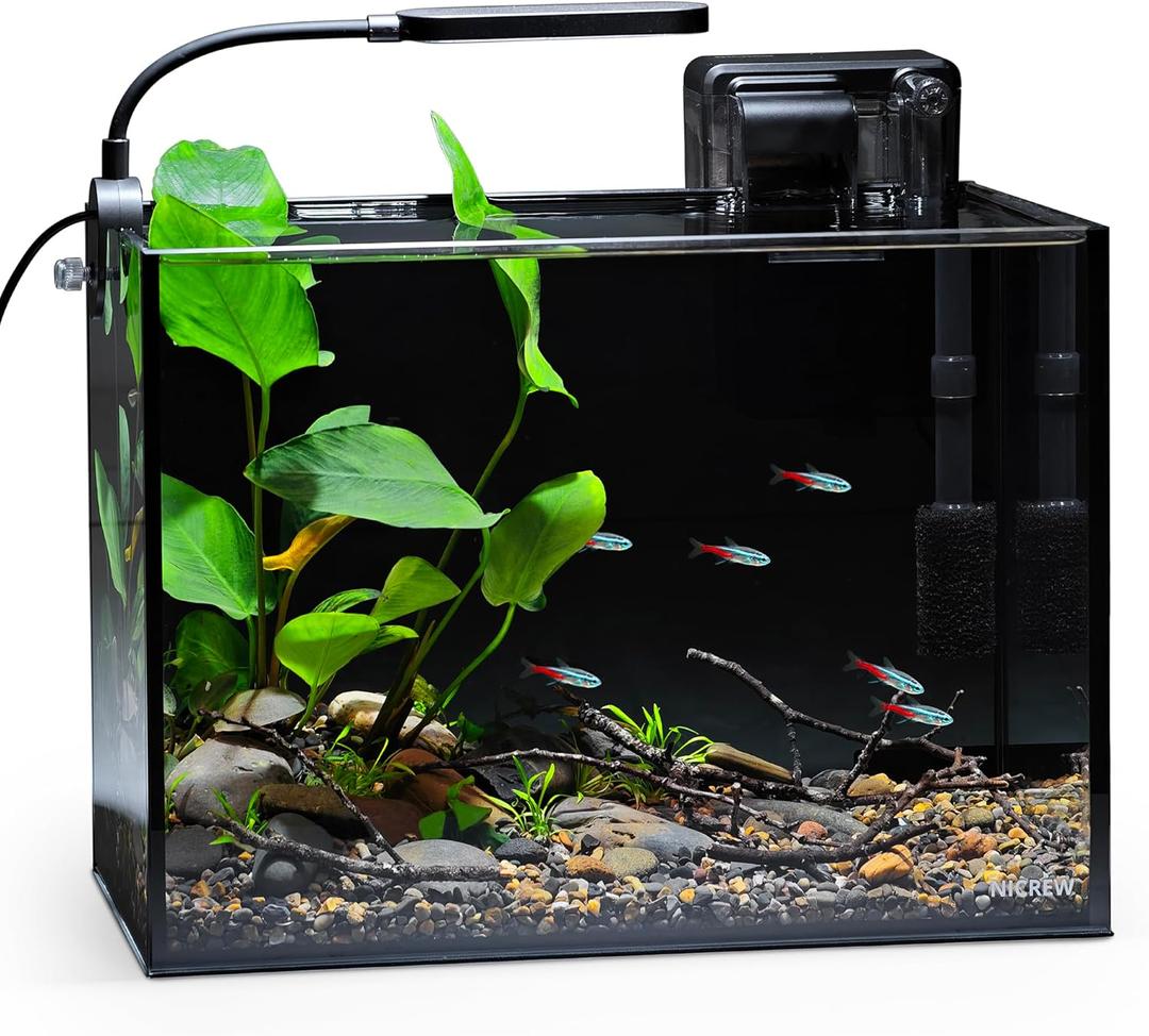 NICREW 2.5 Gallon Nano Nature Aquarium Kit, Ultra-Clear Rimless Desktop Fish Tank with Light, Filter, Gravel and Rock, Perfect for Small Fish, Shrimp, or Betta, Complete Version