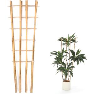 Bamboo Trellis,4Ft,3Pack,Climbing PlantsTrellis, Fan-Shaped Trellis,for Outdoor and Indoor Potted Climbing Plants,Vegetables, Cucumber, Tomato, Hoya